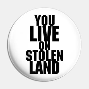 You live on stolen land Pin