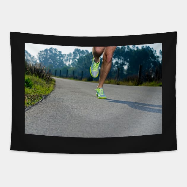 Running Tapestry by homydesign