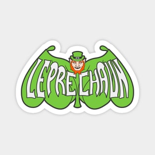 Leprechaun 66 Magnet