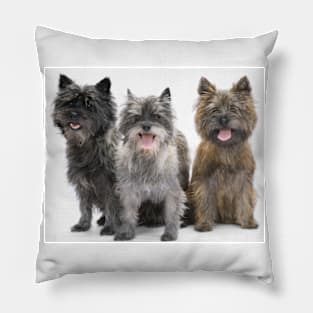 Three Cairn Terriers Pillow