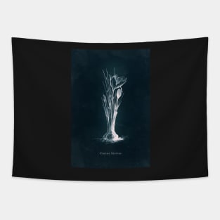 Cyanotype - Crocus Sativus Tapestry