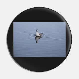 Gull on the water Pin