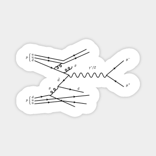 Feynman Diagram - Proton Scattering Magnet