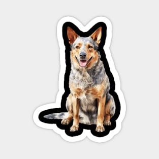 Australian Cattle Dog Magnet