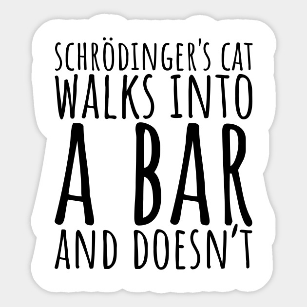 Schrodinger S Cat Walks Into A Bar And Doesn T Physics Joke
