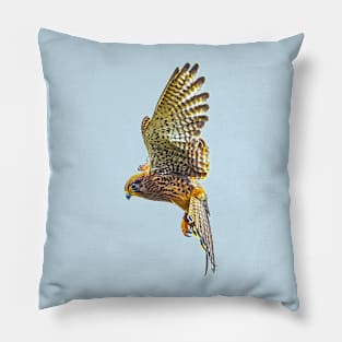 Its a lot less bother with a hover Kestrel Pillow