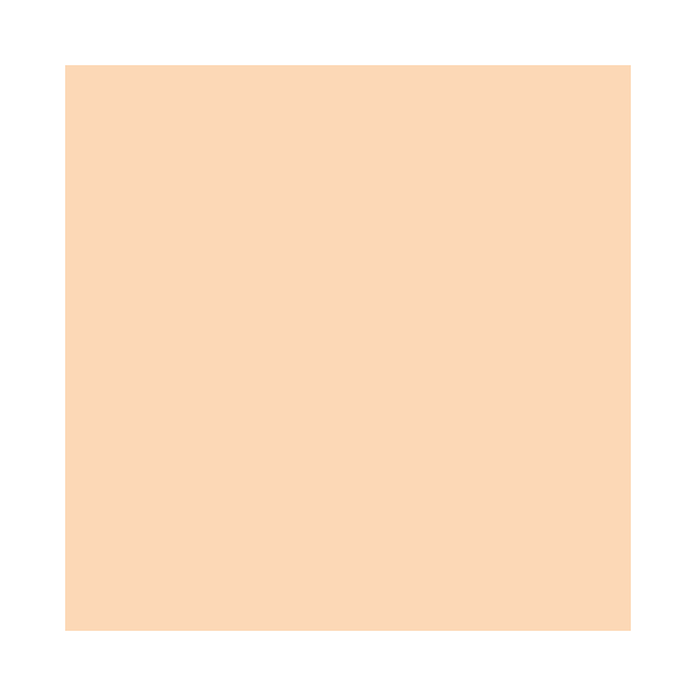 Mid Century Modern Pastel Peach Solid by Whoopsidoodle