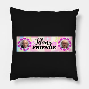 Felony Friendz Bumper Sticker Pillow