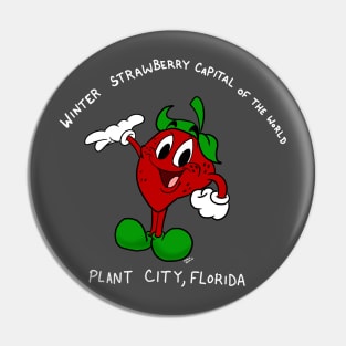 Winter strawberries Pin