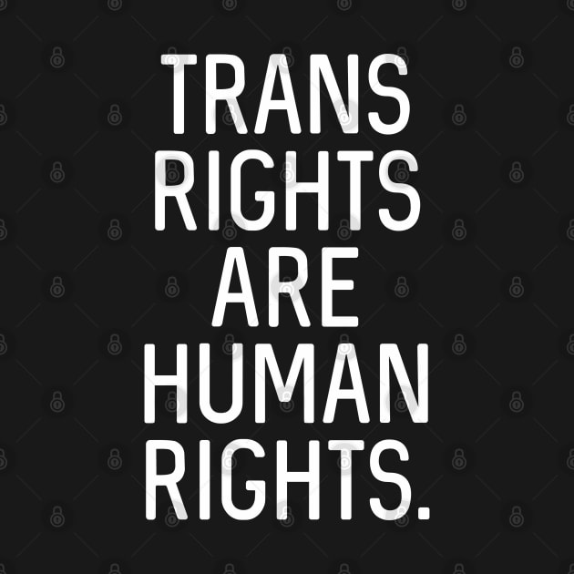 V1: Trans Rights Are Human Rights by Bri the Bearded Spoonie Babe