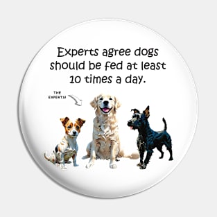 Experts agree dogs should be fed at least 10 times a day - funny watercolour dog design Pin