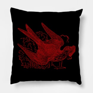 Vintage Who Killed Cock Robin Kite with Coffin Pillow