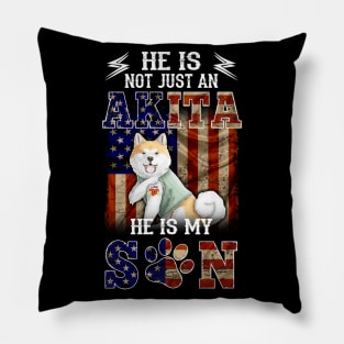 Akita Flag Pillow