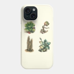 Succulents Cactus Home Garden Collection Phone Case