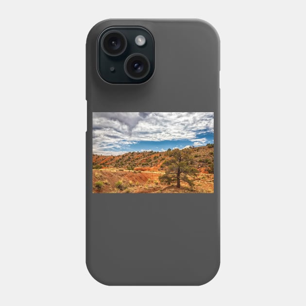 Capitol Reef National Park Phone Case by Gestalt Imagery