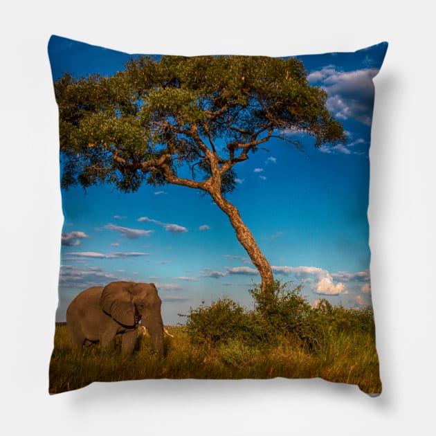 African Elephant in the Bush Pillow by Memories4you