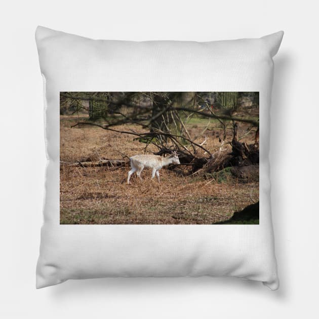 Deer Pillow by Jonesyinc