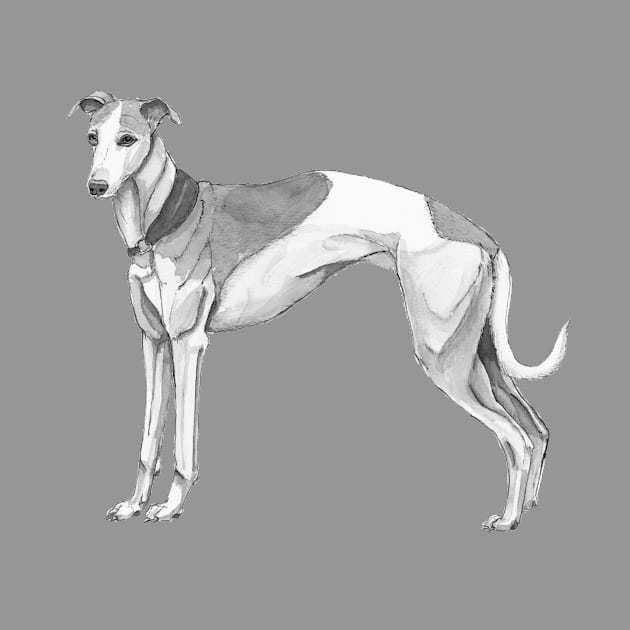 Whippet by doggyshop