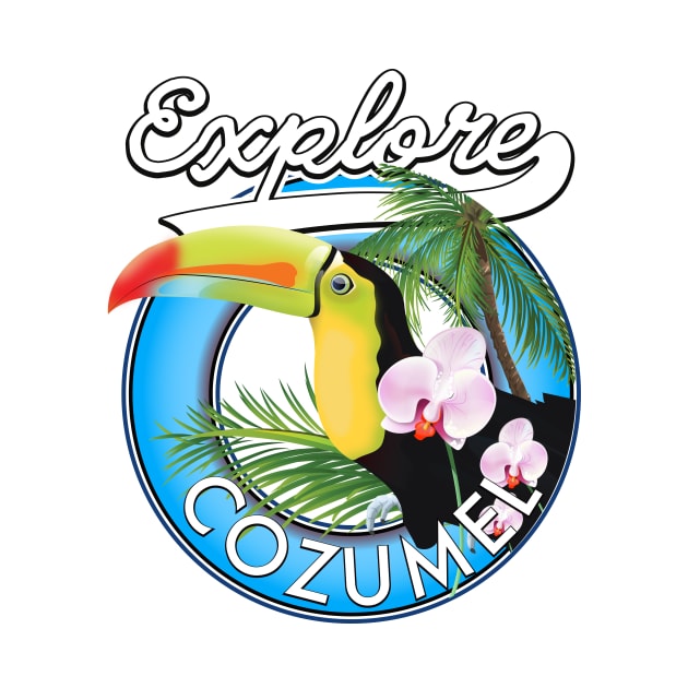 Explore Cozumel Travel patch by nickemporium1