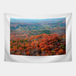 Autumn Mountain View Tapestry