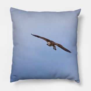 Osprey_VOA7096 Pillow