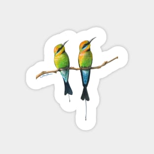 Rainbow Bee-Eaters Watercolour Design - White Background Magnet