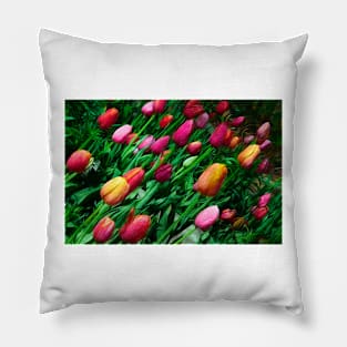 Tulip Garden Pillow