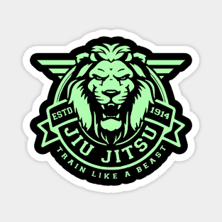 Brazilian Jiu Jitsu, BJJ, MMA Magnet