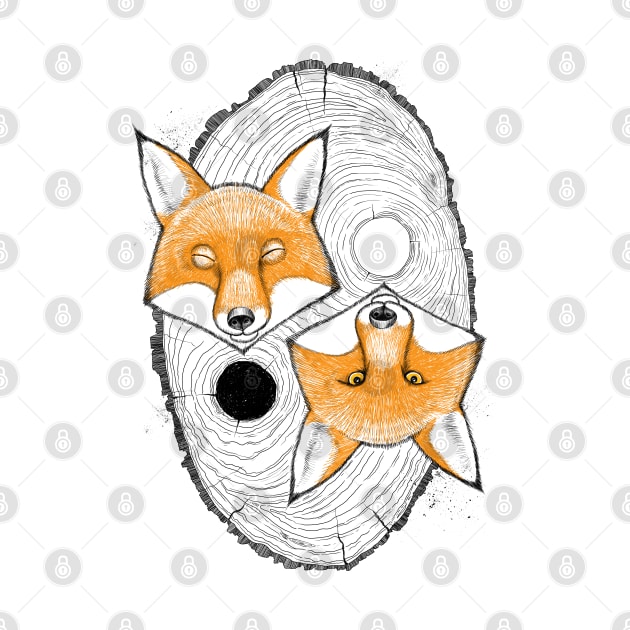 Yin yang foxes by NikKor