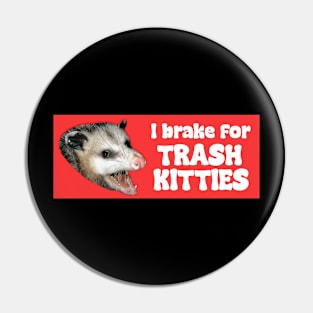 I brake for trash kitties Pin