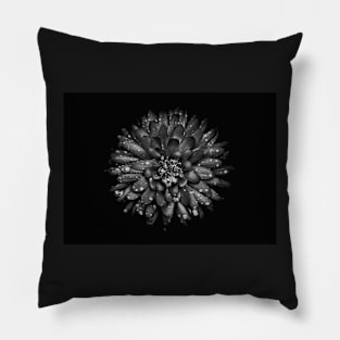 Backyard Flowers In Black And White 45 Pillow