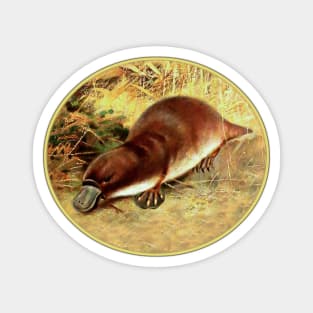 Platypus Magnet