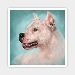 Painting of a Dogo Argentino on Light Blue Background Magnet