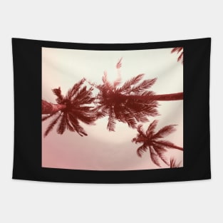 Palmtree pink Tapestry