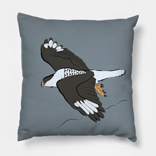 Southern Crested Caracara Pillow