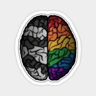 Large LGBT Ally Pride Flag Colored Brain Vector Magnet