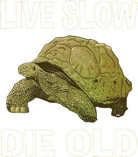 Live Slow Die Old Magnet