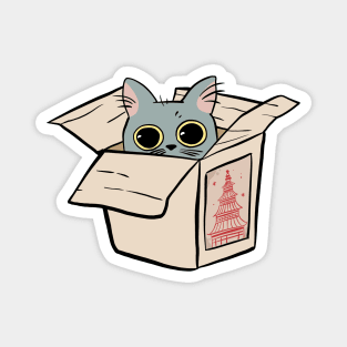 Cute Cat in a Box Magnet