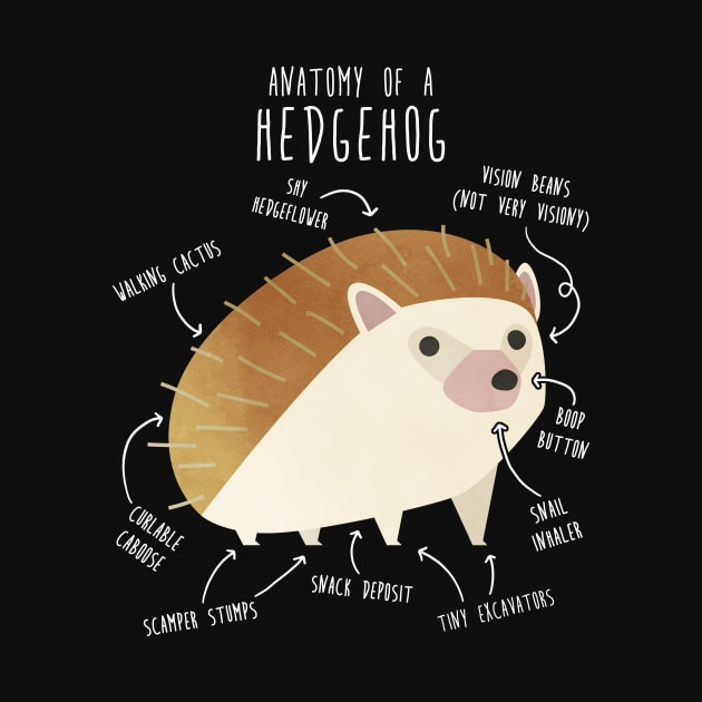 Hedgehog Anatomy by Psitta