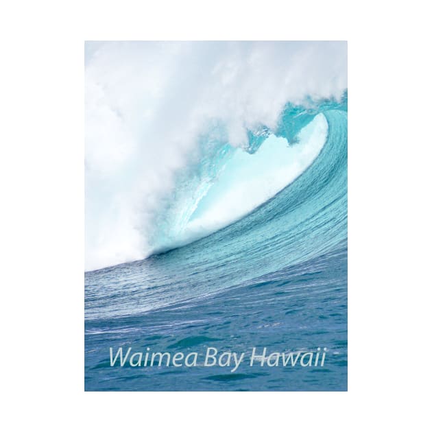 Waimea Bay Wave T-Shirt by Sky Studio Hawaii