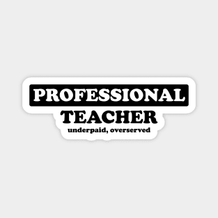 Professional Teacher - Humor Magnet