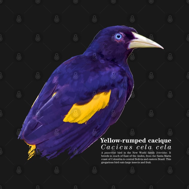 Yellow-rumped cacique tropical bird white text by Ornamentum