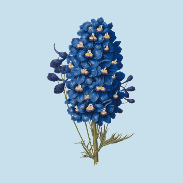 Delft  Blue Ephemera Delphinium Flower by RedThorThreads