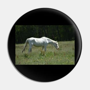 Wild Horse Pin