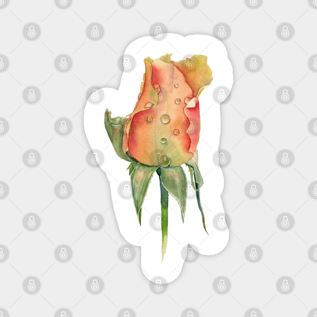 Yellow rose bud Magnet by InnaPatiutko