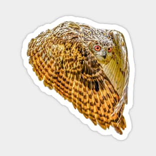 Eagle Owl Magnet