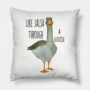 Salsa Through a Goose Pillow