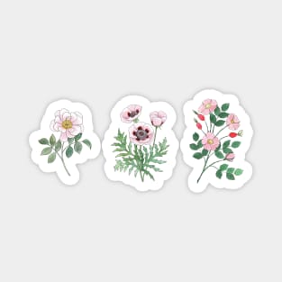 Three Pink Flowers Watercolor Illustration Magnet