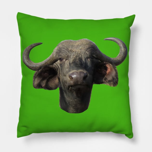 Water Buffalo Ox Portrait Pillow by ellenhenryart