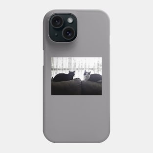 Cats on a couch Phone Case